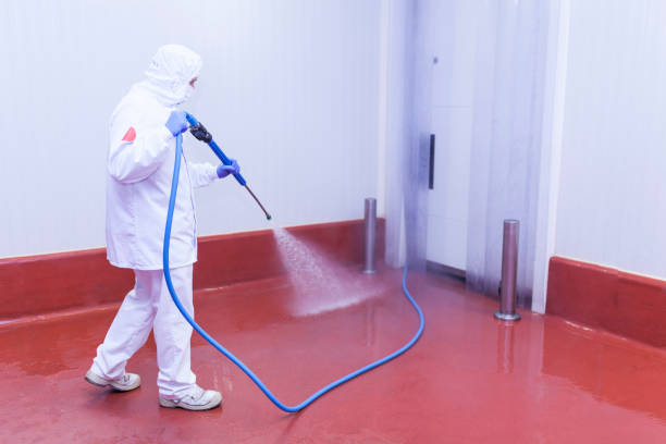 Best Sidewalk and Walkway Cleaning  in Nuevo, CA